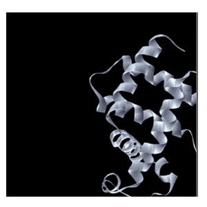 9787309052039: Lectures On Statistical Physics And Protein Folding
