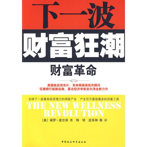 Stock image for wealth revolution: the next wave of wealth frenzy(Chinese Edition) for sale by liu xing