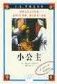 Beispielbild fr Little Princess(Chinese Edition) zum Verkauf von ThriftBooks-Atlanta