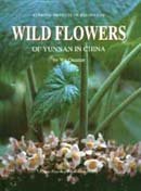 Imagen de archivo de Wild Flowers of Yunnan in China a la venta por Ammareal