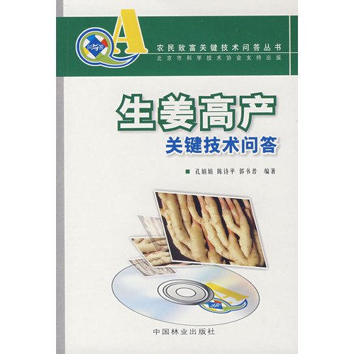 9787503850745: high key technical Q Ginger (1 CD)(Chinese Edition)