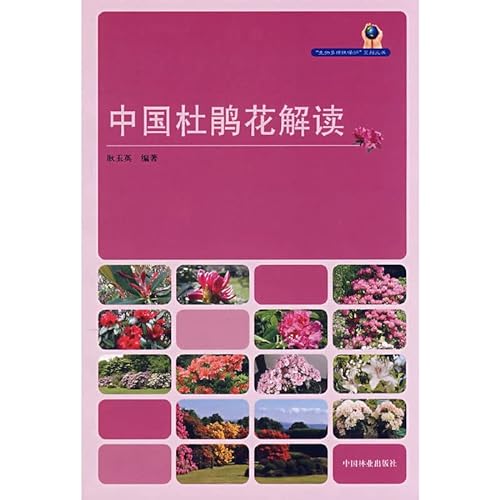 Stock image for Interpretation of Rhododendron from China(Chinese Edition) for sale by ReadCNBook