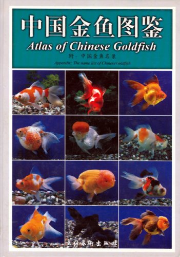 Stock image for Atlas of Chinese Goldfish( in Chinese and English bilingual)(Chinese Edition) for sale by liu xing
