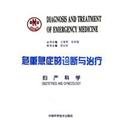 Stock image for critical illness diagnosis and treatment: obstetrics and gynecology(Chinese Edition) for sale by liu xing