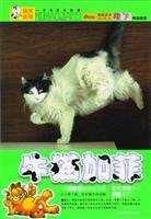 9787505414006: cow cat Garfield [Paperback](Chinese Edition)