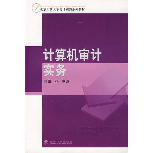 Stock image for Computer Audit Practice(Chinese Edition) for sale by liu xing