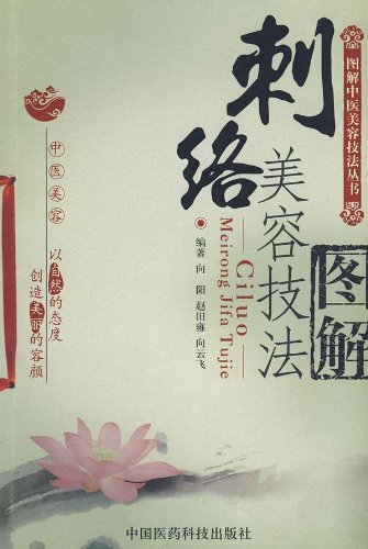 Imagen de archivo de Beauty pricking technique illustrated(Chinese Edition) a la venta por liu xing