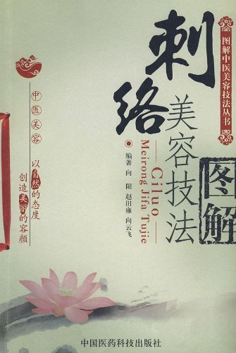 Stock image for Beauty pricking technique illustrated(Chinese Edition) for sale by liu xing