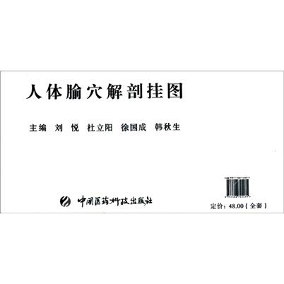 9787506745475: Acupoints of human anatomy charts (of 4)(Chinese Edition)