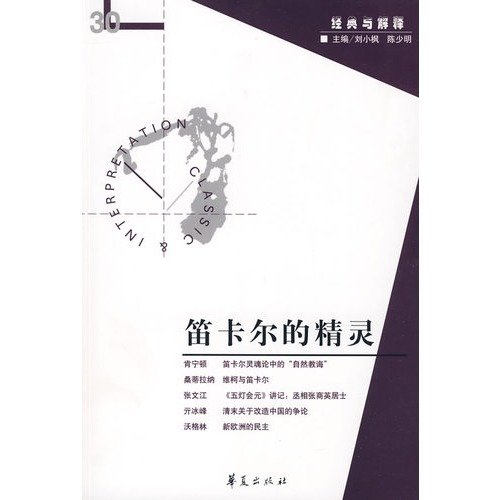 9787508051796: Descartes wizard(Chinese Edition)