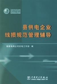 Imagen de archivo de County line loss specification power supply enterprise management counseling ( free postage)(Chinese Edition) a la venta por liu xing