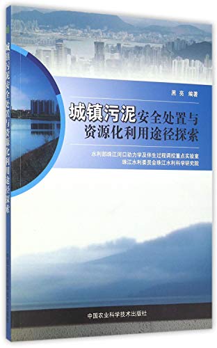 9787511619211: 城镇污泥安全处置与资源化利用途径探索