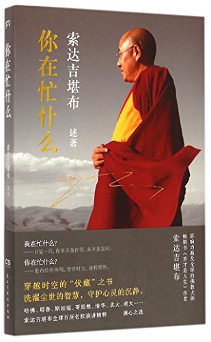 Imagen de archivo de What Are You Busy Doing (Chinese Edition) a la venta por AwesomeBooks