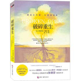 Beispielbild fr BROKEN OPEN (Chinese) zum Verkauf von WorldofBooks