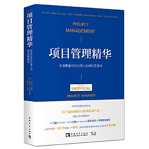 9787515341132: 项目管理精华：给非职业项目经理人的项目管理书