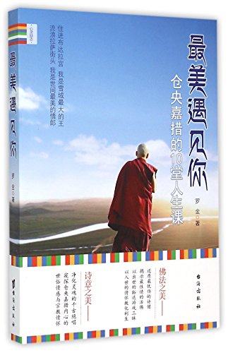 Imagen de archivo de Meeting You Is the Best Thing (Chinese Edition) a la venta por Hawking Books