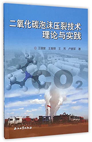 9787518309955: 二氧化碳泡沫压裂技术理论与实践