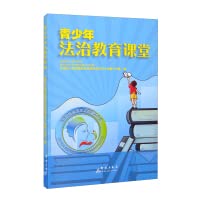 9787519306595: Youth Legal Education Class(Chinese Edition)