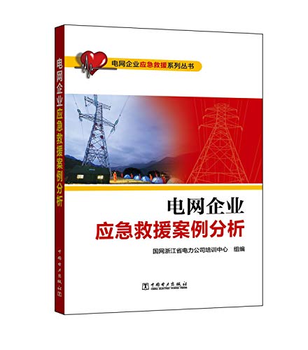9787519805562: 电网企业应急救援系列丛书 电网企业应急救援案例分析
