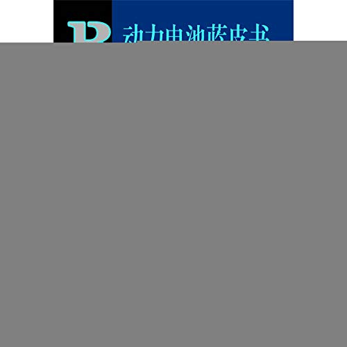 9787520111812: 皮书系列动力电池蓝皮书：中国新能源汽车动力电池产业发展报告（2017）