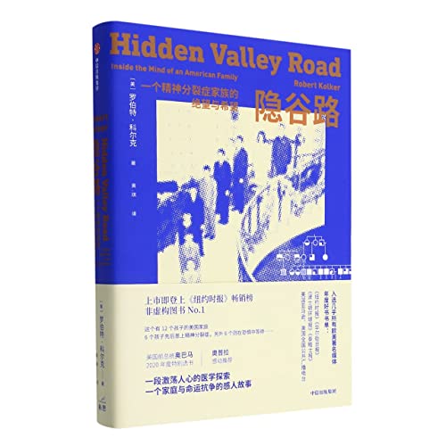 Stock image for Hidden Valley Road (Chinese Edition) for sale by ThriftBooks-Dallas