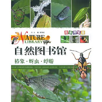 9787530114704: Natural the Library. Insects Expo articles crickets. Cicada(Chinese Edition)