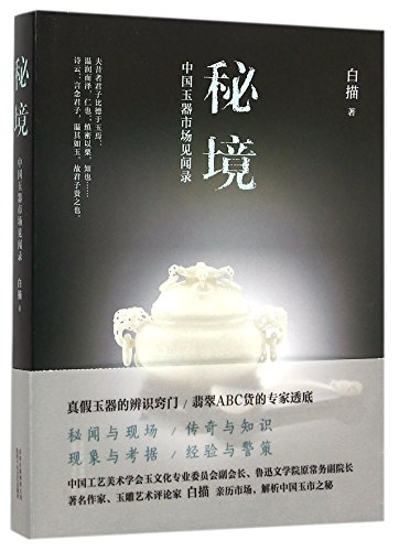 Imagen de archivo de Secret Area (Chinese Edition) a la venta por Revaluation Books