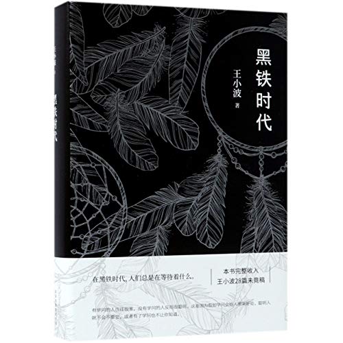 Beispielbild fr Age of Iron (Chinese Edition) zum Verkauf von AwesomeBooks