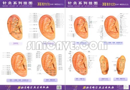 9787530428238: Series Chart of Acupuncture: -EAR NEEDLE (Series Chart of Acupuncture) (English and Chinese Edition)