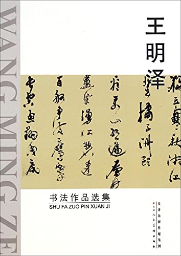 9787530563649: 王明泽书法作品选集王明泽书写【正版保证】