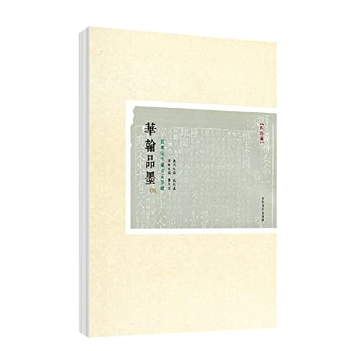 Stock image for China Chine ink(Chinese Edition) for sale by liu xing