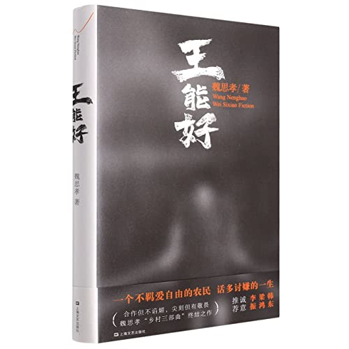 Stock image for Wang Nenghao (Chinese Edition) for sale by ThriftBooks-Dallas