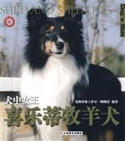 9787533025045: World dog-breeding domesticated dogs in the Queen Collection: Shetland Sheepdog(Chinese Edition)