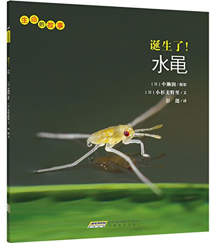 9787533682699: 生命的故事 第二辑10册 高清拍摄写真绘本 3-8岁儿童科普读物 昆虫记集 昆虫大世界 诞生了水黾/生命的故事