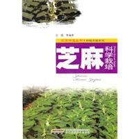Stock image for Science and cultivation of sesame(Chinese Edition) for sale by liu xing