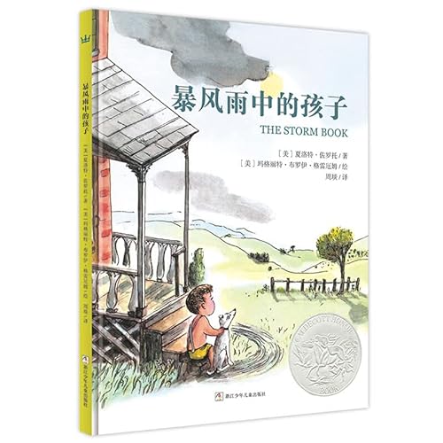 Stock image for US Catic Silver works: Children storm(Chinese Edition) for sale by HPB-Ruby