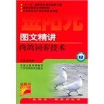 Imagen de archivo de Pigeon feeding techniques succinctly graphic new rural Golden Sunshine Books(Chinese Edition) a la venta por liu xing