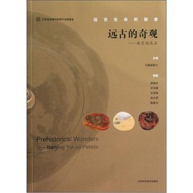 Stock image for Exploring ancient wonders of the ancient life: Nanjing stone(Chinese Edition) for sale by liu xing