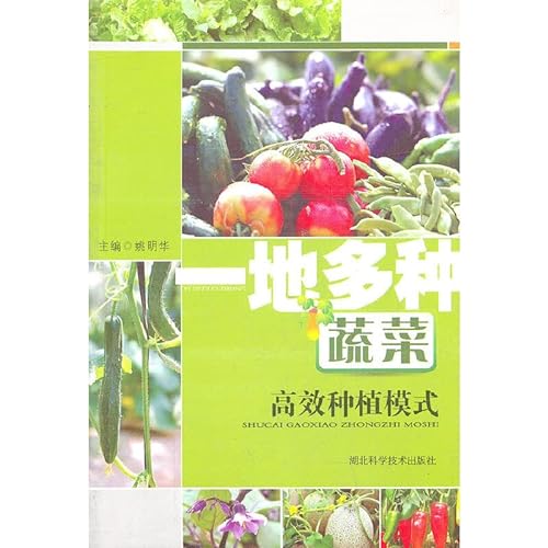 9787535247797: An efficient cropping patterns to a variety of vegetables(Chinese Edition)