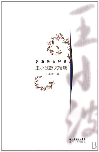 9787535440389: Wang Xiaobo Selected Essays (Paperback)(Chinese Edition)