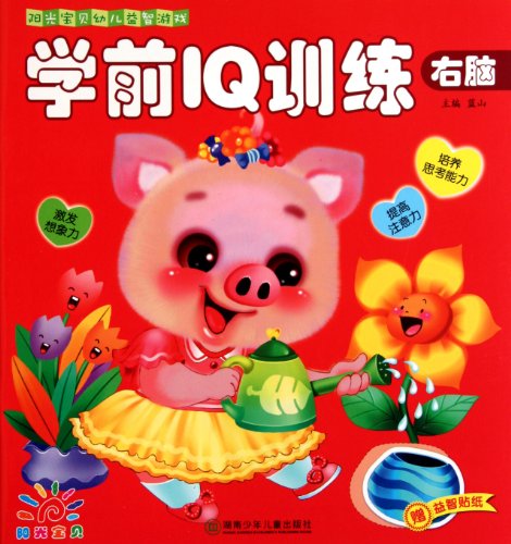 Imagen de archivo de Preschool Training,IQ Improving - Sunshine Baby Puzzle Games (Chinese Edition) a la venta por ThriftBooks-Atlanta