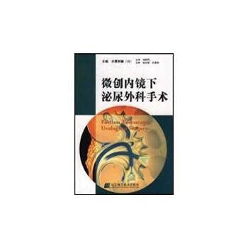 9787538139884: 微创内镜下泌尿外科手术 木原和德,刘树民 辽宁科学技术出版社 9787538139884