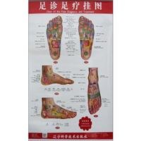 Imagen de archivo de Foot Reflexology clinics flipchart (with instructions )(Chinese Edition) a la venta por liu xing