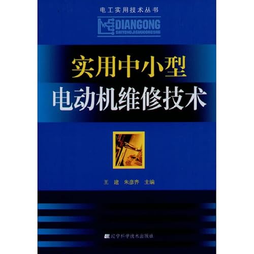 9787538165135: 实用中小型电动机维修技术(电工实用技术丛书)