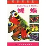 Imagen de archivo de Butterfly (Collins boutique)(Chinese Edition) a la venta por liu xing