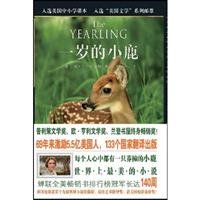 Stock image for one-year-old deer(Chinese Edition) for sale by liu xing