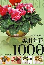 Imagen de archivo de 1000 asking(Chinese Edition) a la venta por liu xing
