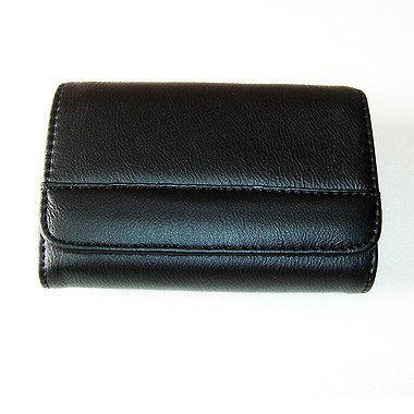 9787539150833: New premium quality leather black camera case for Panasonic DM-FS37(it005b)