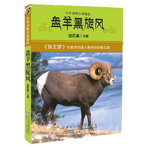 Stock image for Black Whirlwind (Chinese Edition) for sale by ThriftBooks-Atlanta