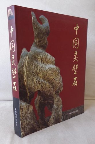 9787539808390: China Ling Bidan(Chinese Edition)